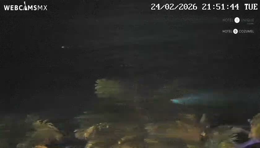 Cozumel Hotel B and Hotel Unique Coast Live Cam - Zona Hotelera Sur, San Mugiel de Cozumel, Municipio de Cozumel, Quintana Roo, Mexico