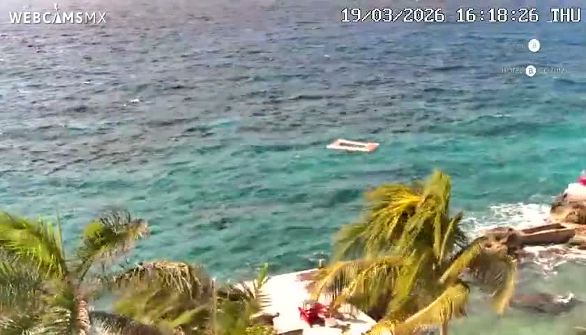 Cozumel Hotel B and Hotel Unique Coast Live Cam - Zona Hotelera Sur, San Mugiel de Cozumel, Municipio de Cozumel, Quintana Roo, Mexico