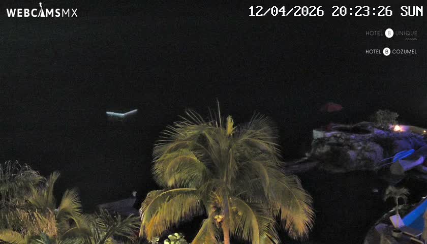 Cozumel Hotel B and Hotel Unique Coast Live Cam - Zona Hotelera Sur, San Mugiel de Cozumel, Municipio de Cozumel, Quintana Roo, Mexico