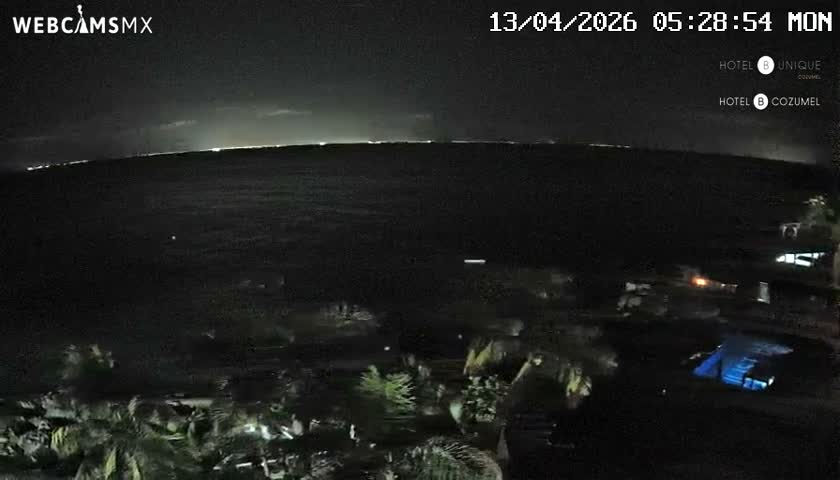 An overcast early morning reveals a dark ocean with palm trees in the foreground, distant lights along the horizon, and a distinct blue-green glow on the water's surface.