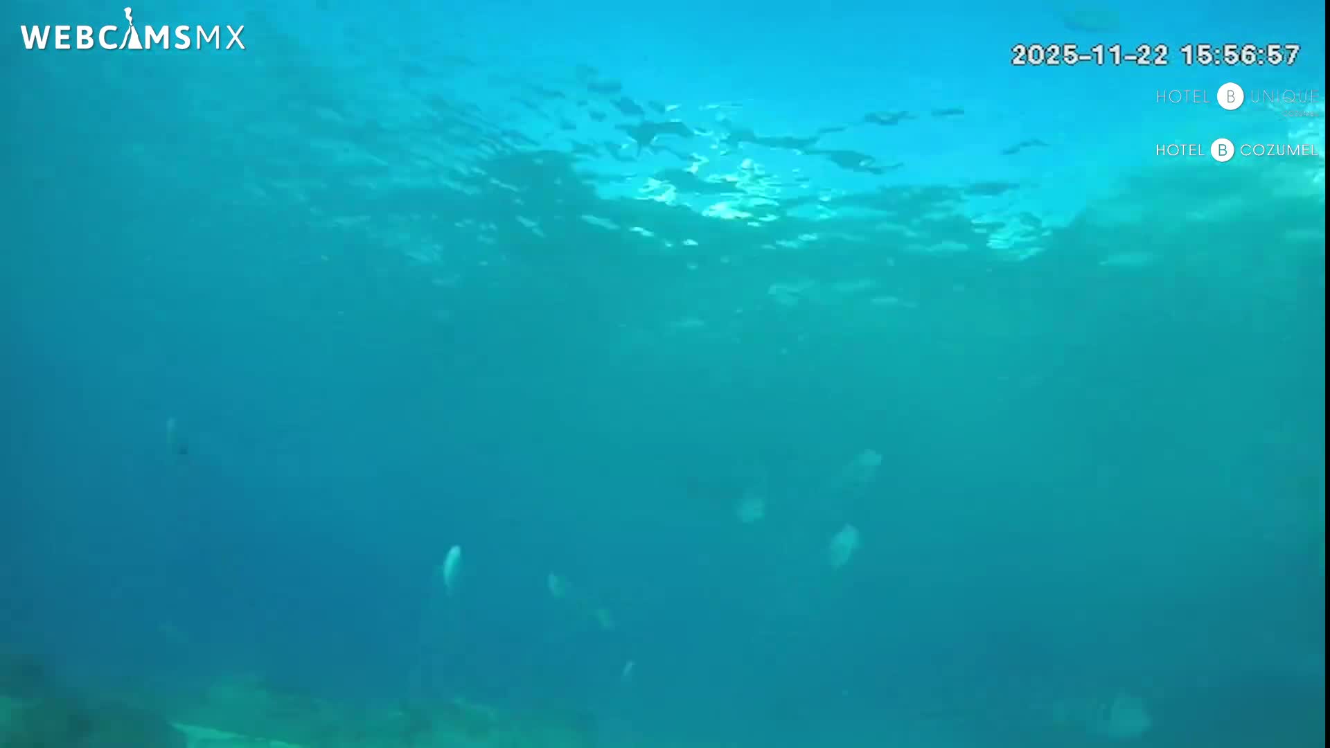 Cozumel, Carribean Underwater Fish World Live Cam - Zona Hotelera Sur, San Mugiel de Cozumel, Municipio de Cozumel, Quintana Roo, Mexico