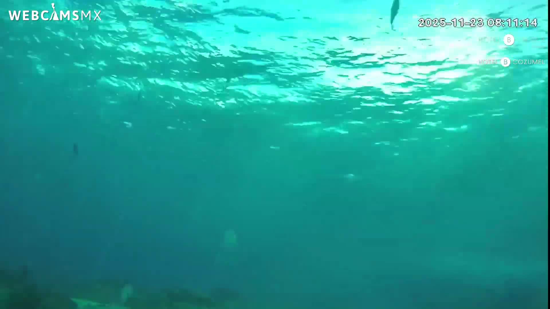 Cozumel, Carribean Underwater Fish World Live Cam - Zona Hotelera Sur, San Mugiel de Cozumel, Municipio de Cozumel, Quintana Roo, Mexico