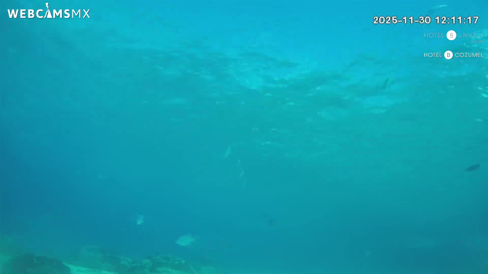 Cozumel, Carribean Underwater Fish World Live Cam - Zona Hotelera Sur, San Mugiel de Cozumel, Municipio de Cozumel, Quintana Roo, Mexico