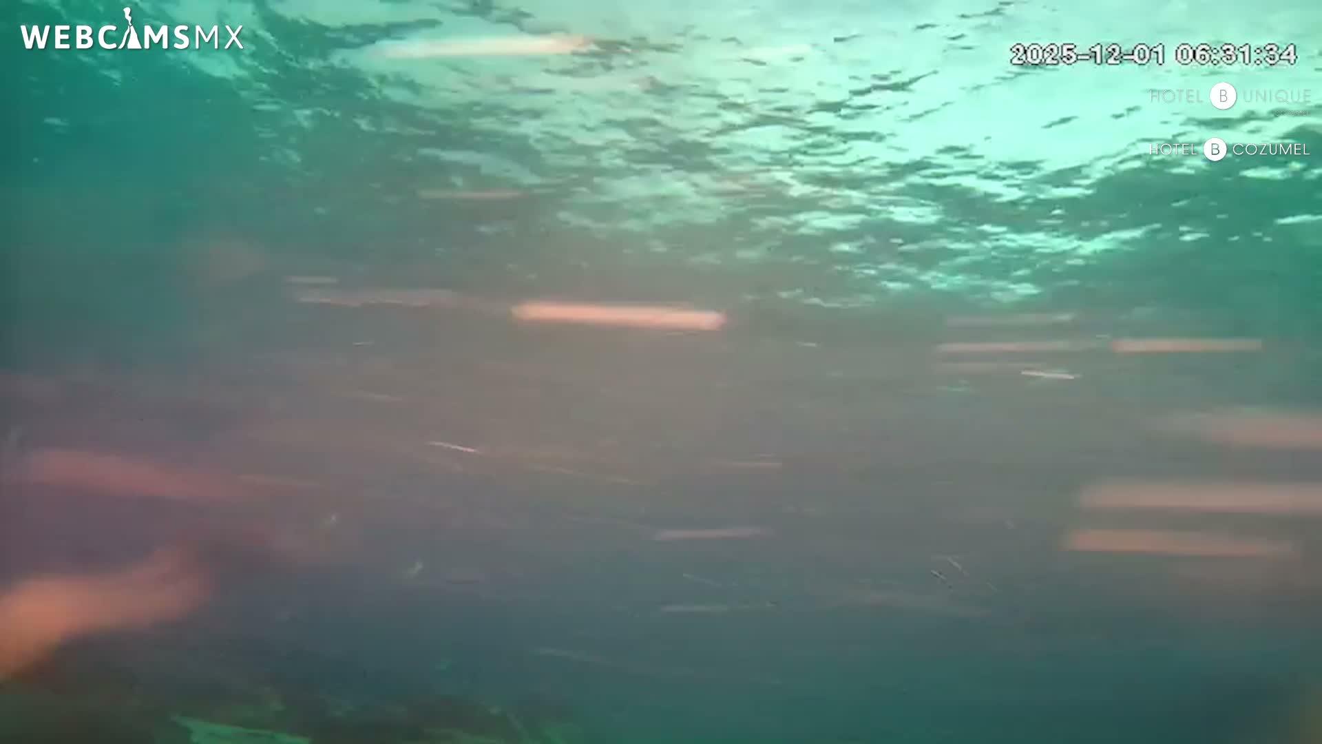 Cozumel, Carribean Underwater Fish World Live Cam - Zona Hotelera Sur, San Mugiel de Cozumel, Municipio de Cozumel, Quintana Roo, Mexico