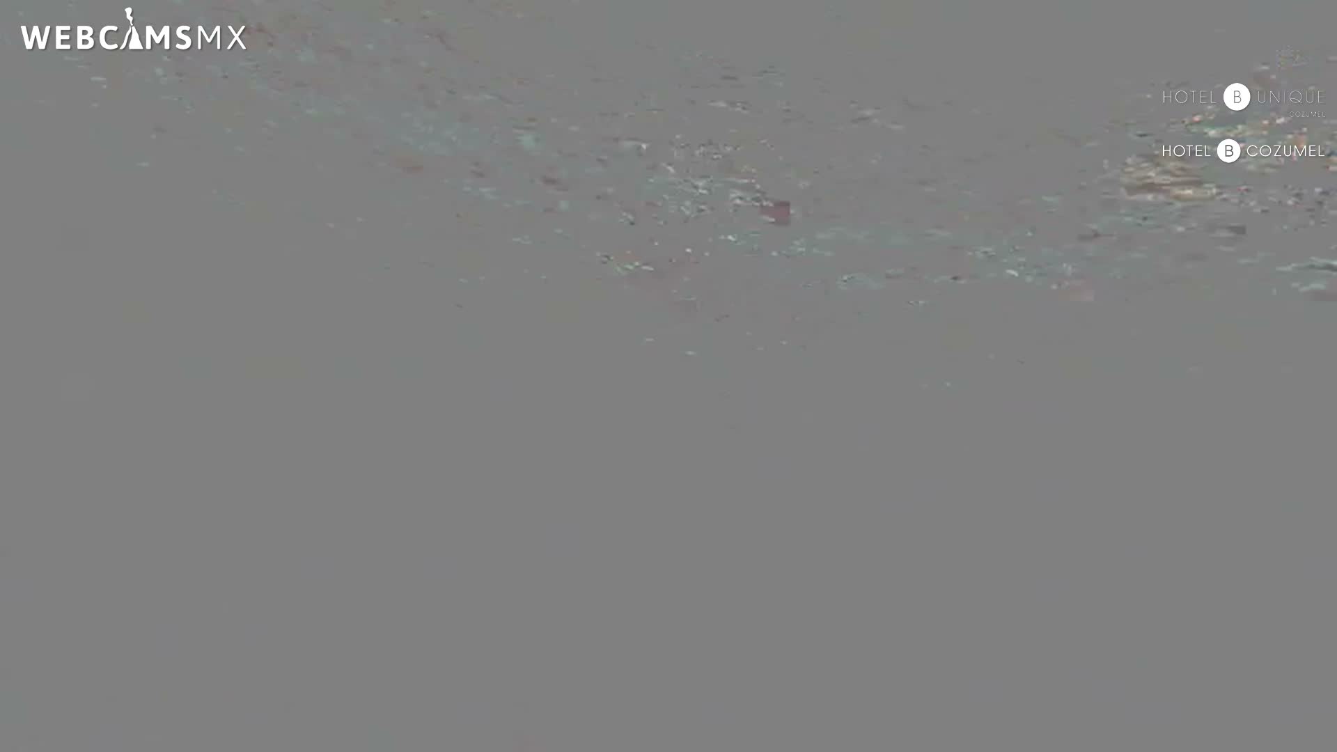 Cozumel, Carribean Underwater Fish World Live Cam - Zona Hotelera Sur, San Mugiel de Cozumel, Municipio de Cozumel, Quintana Roo, Mexico