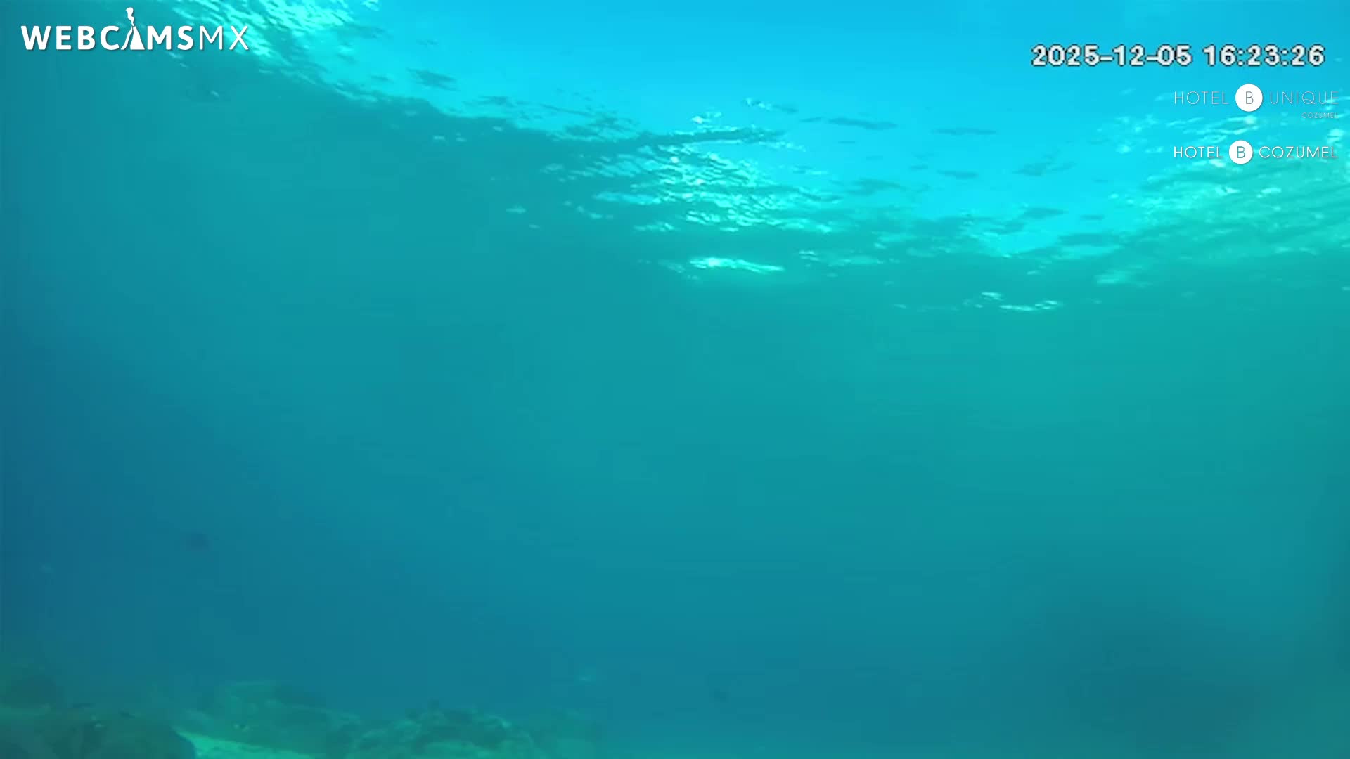 Cozumel, Carribean Underwater Fish World Live Cam - Zona Hotelera Sur, San Mugiel de Cozumel, Municipio de Cozumel, Quintana Roo, Mexico