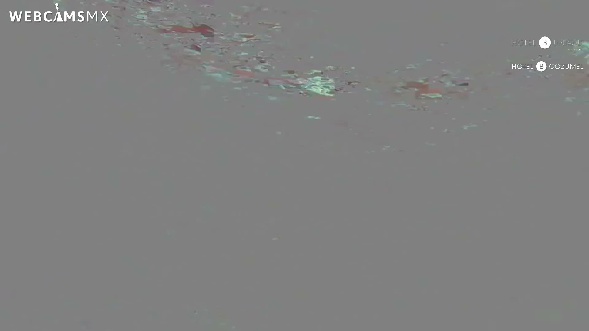 Cozumel, Carribean Underwater Fish World Live Cam - Zona Hotelera Sur, San Mugiel de Cozumel, Municipio de Cozumel, Quintana Roo, Mexico