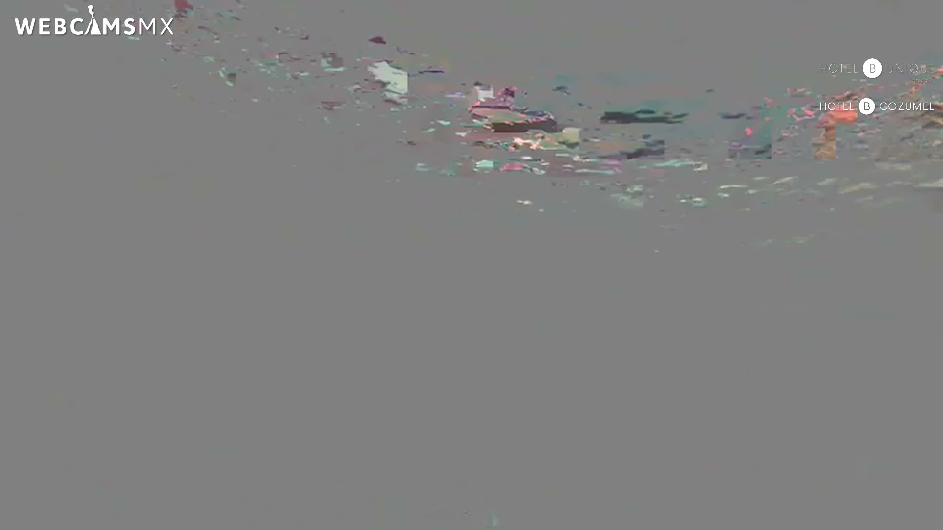 Cozumel, Carribean Underwater Fish World Live Cam - Zona Hotelera Sur, San Mugiel de Cozumel, Municipio de Cozumel, Quintana Roo, Mexico