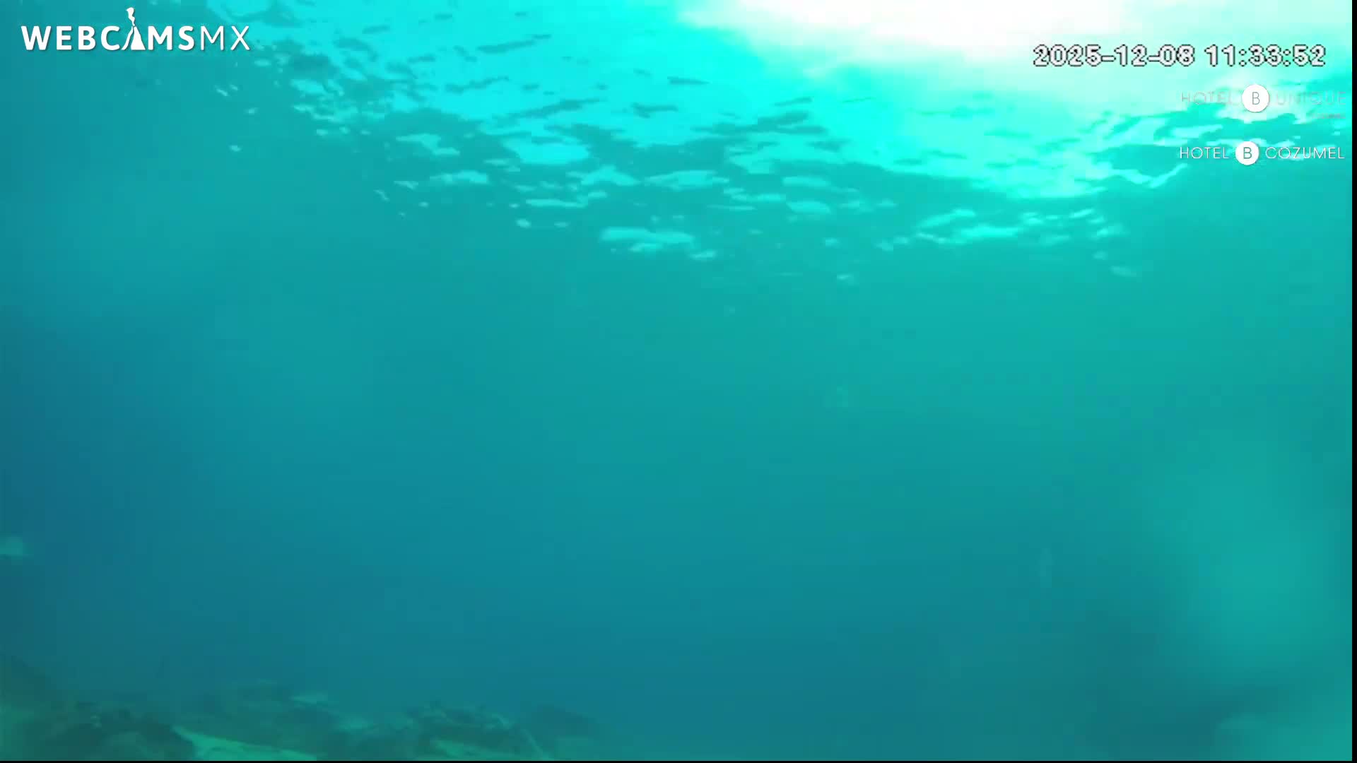 Cozumel, Carribean Underwater Fish World Live Cam - Zona Hotelera Sur, San Mugiel de Cozumel, Municipio de Cozumel, Quintana Roo, Mexico
