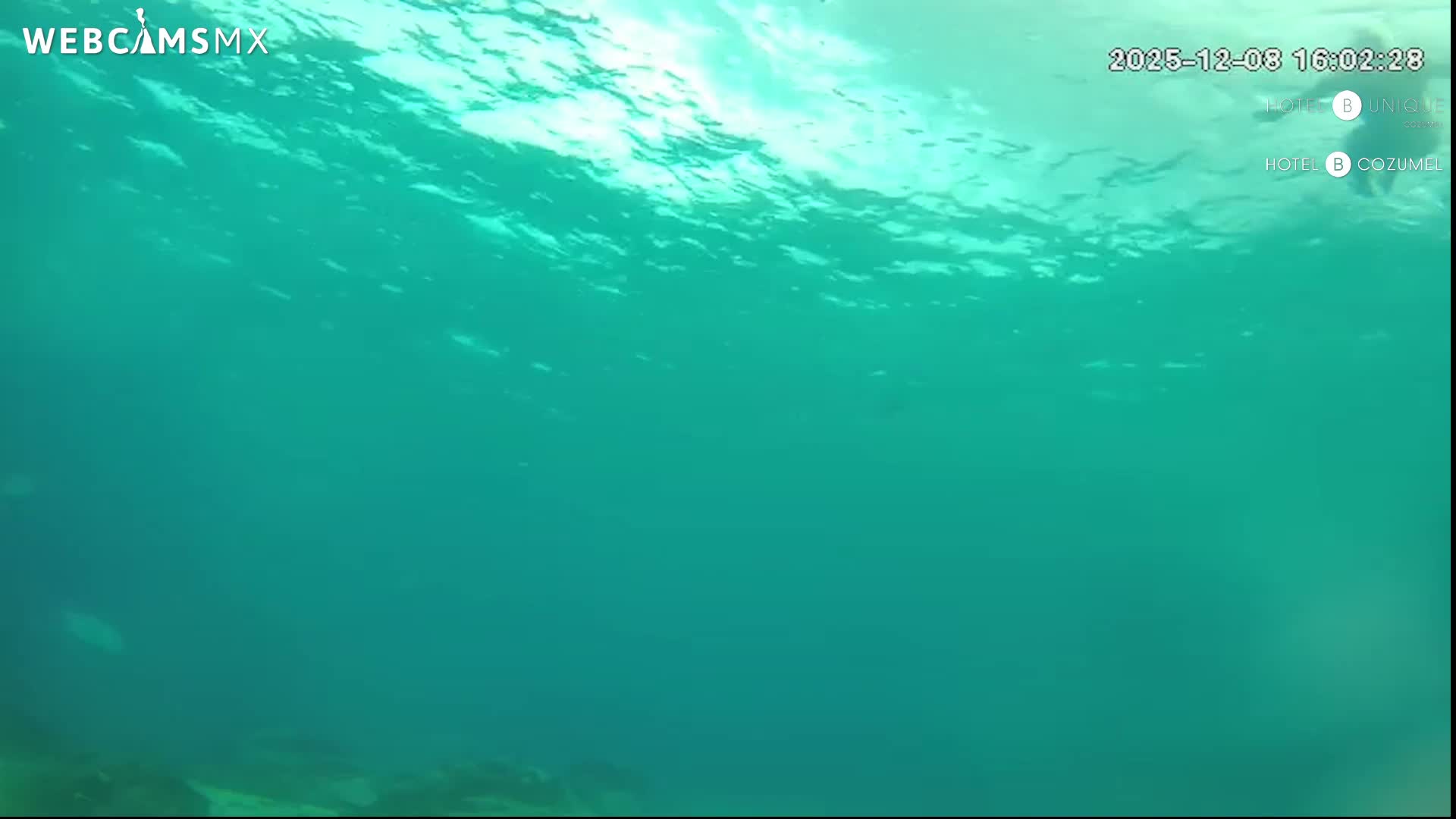 Cozumel, Carribean Underwater Fish World Live Cam - Zona Hotelera Sur, San Mugiel de Cozumel, Municipio de Cozumel, Quintana Roo, Mexico