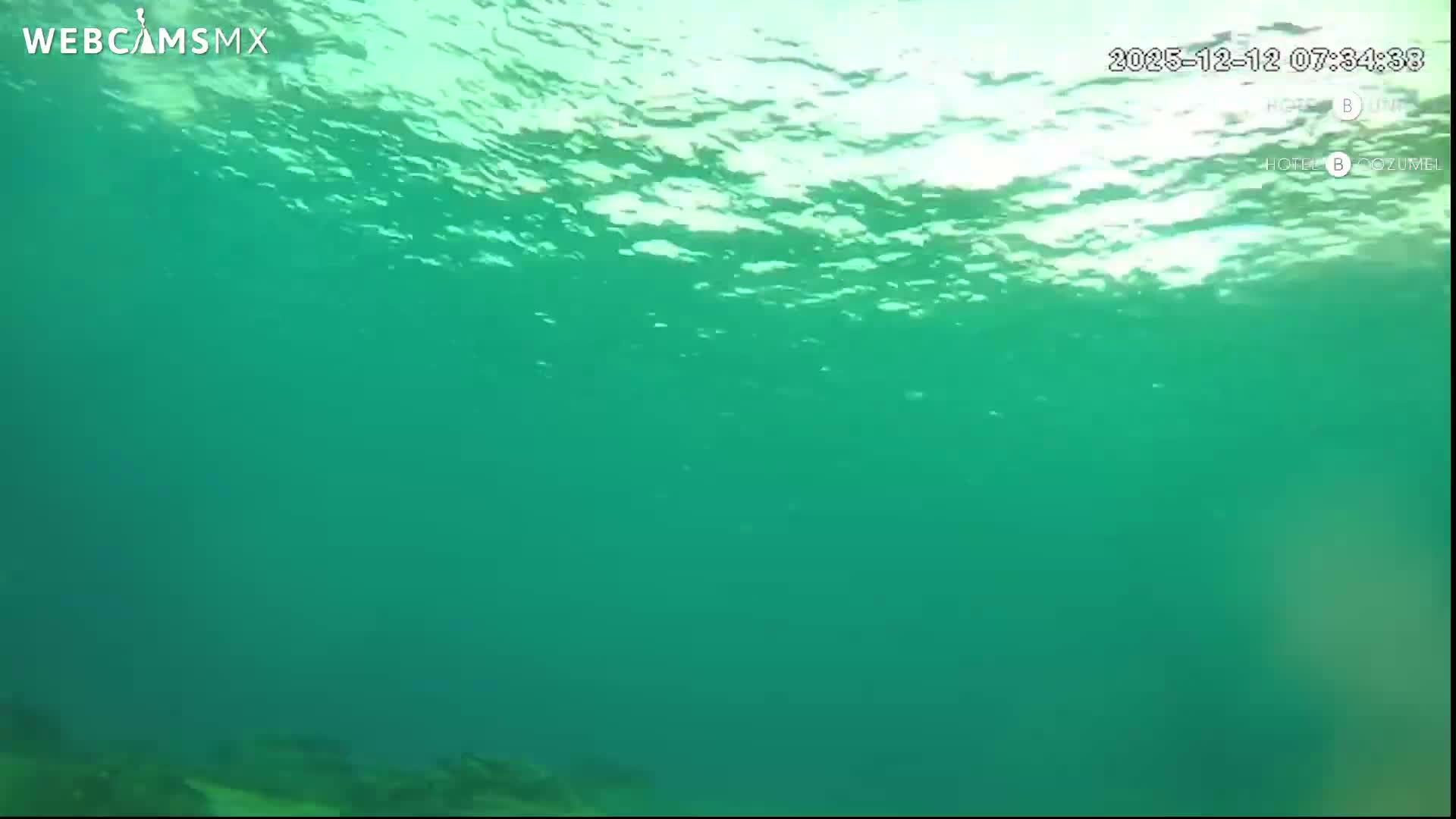 Cozumel, Carribean Underwater Fish World Live Cam - Zona Hotelera Sur, San Mugiel de Cozumel, Municipio de Cozumel, Quintana Roo, Mexico