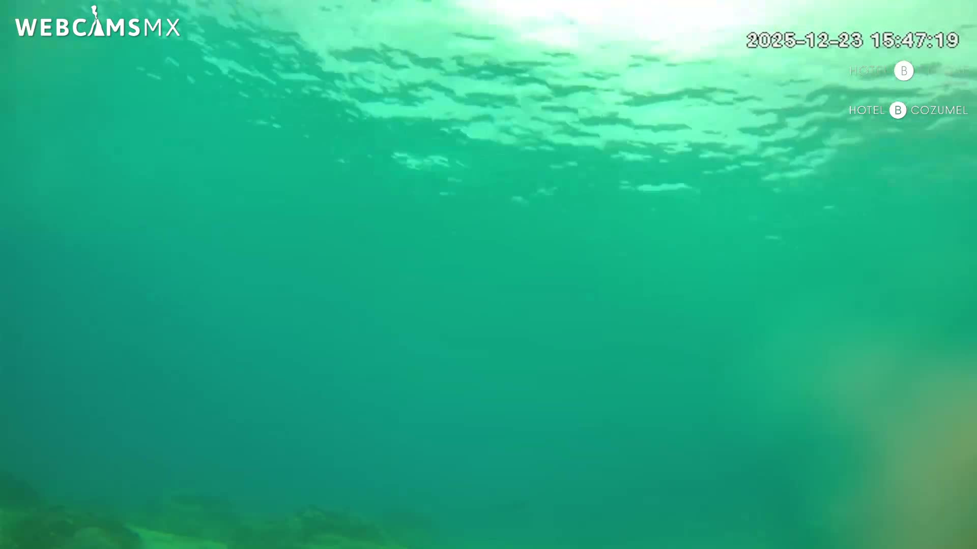 Cozumel, Carribean Underwater Fish World Live Cam - Zona Hotelera Sur, San Mugiel de Cozumel, Municipio de Cozumel, Quintana Roo, Mexico