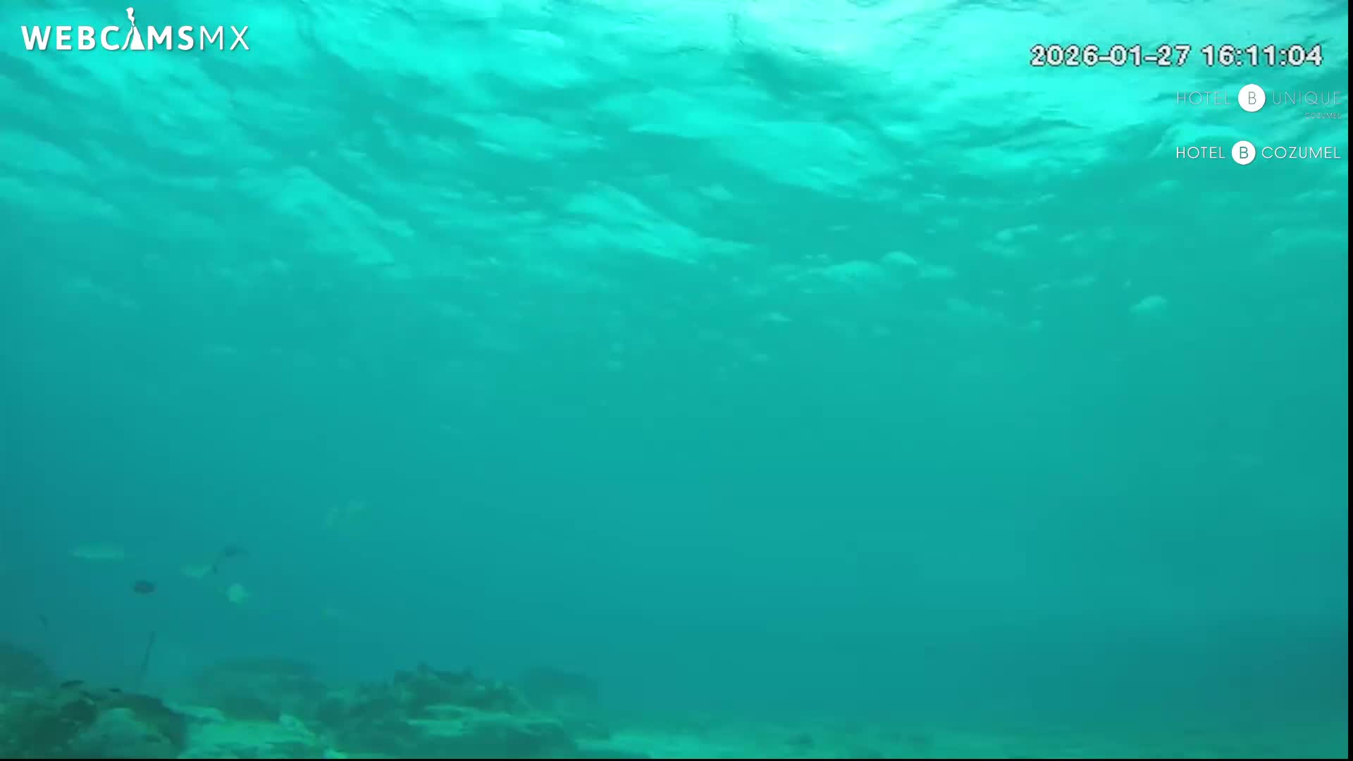 Cozumel, Carribean Underwater Fish World Live Cam - Zona Hotelera Sur, San Mugiel de Cozumel, Municipio de Cozumel, Quintana Roo, Mexico