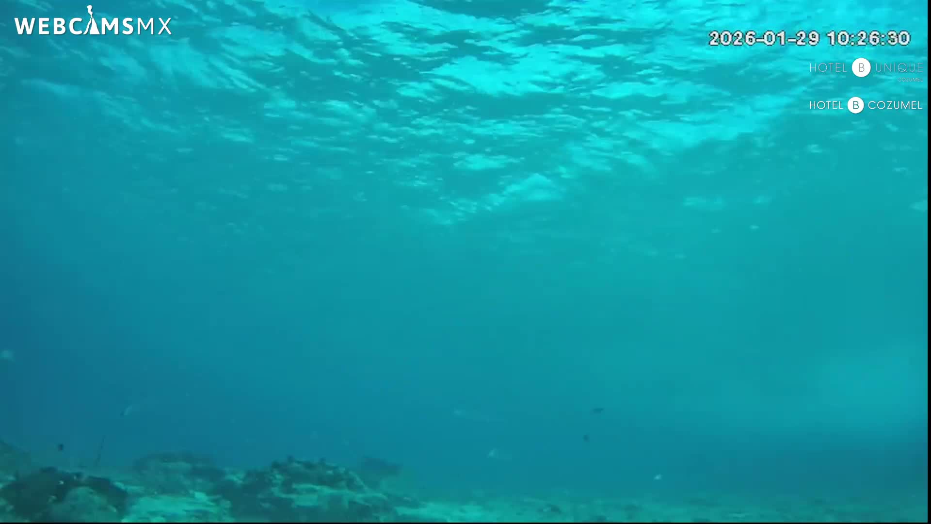 Cozumel, Carribean Underwater Fish World Live Cam - Zona Hotelera Sur, San Mugiel de Cozumel, Municipio de Cozumel, Quintana Roo, Mexico