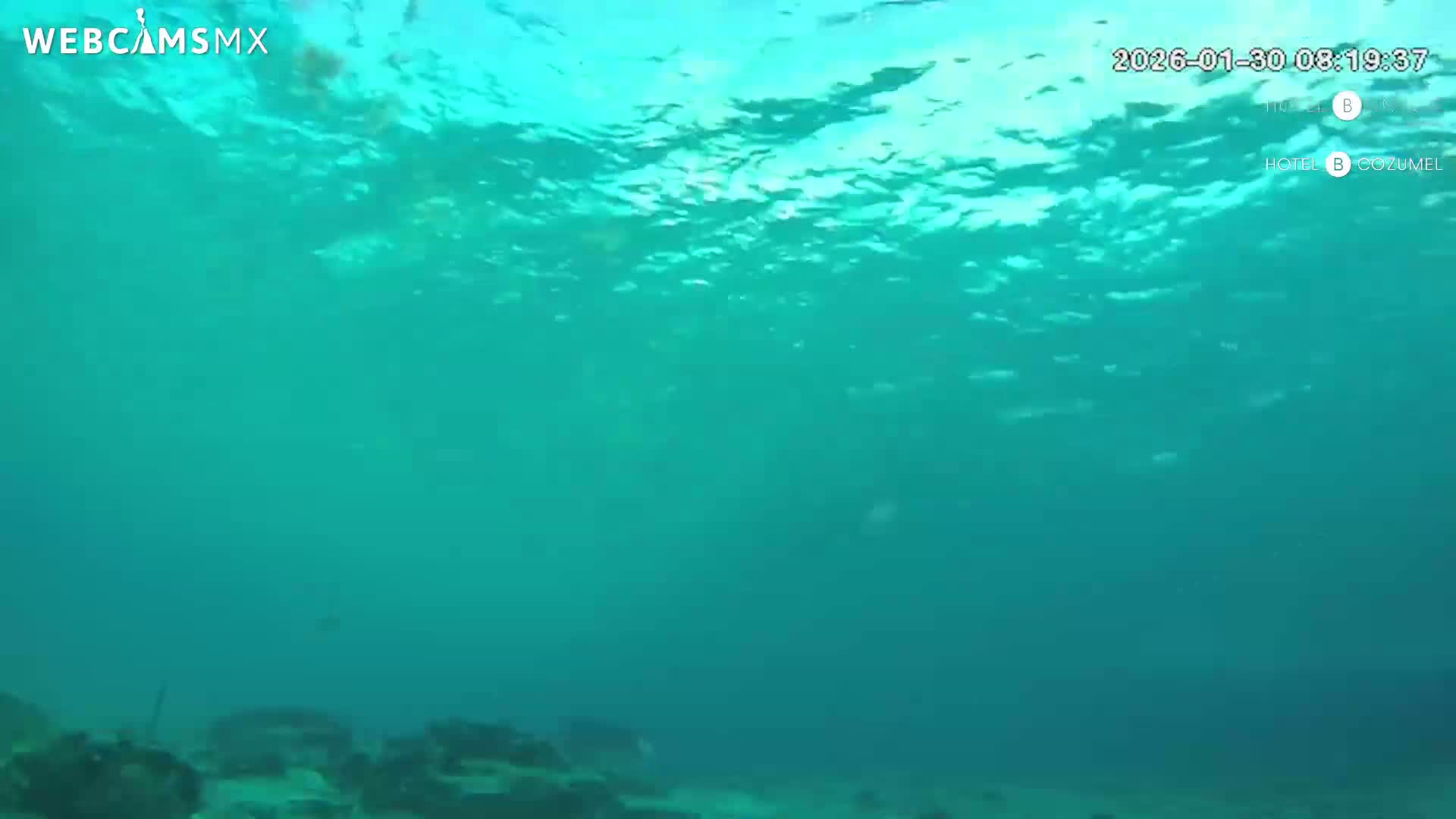 Cozumel, Carribean Underwater Fish World Live Cam - Zona Hotelera Sur, San Mugiel de Cozumel, Municipio de Cozumel, Quintana Roo, Mexico