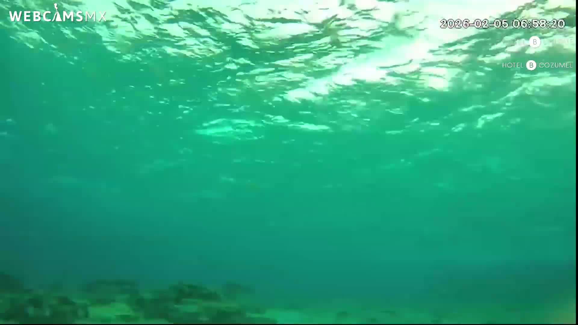 Cozumel, Carribean Underwater Fish World Live Cam - Zona Hotelera Sur, San Mugiel de Cozumel, Municipio de Cozumel, Quintana Roo, Mexico