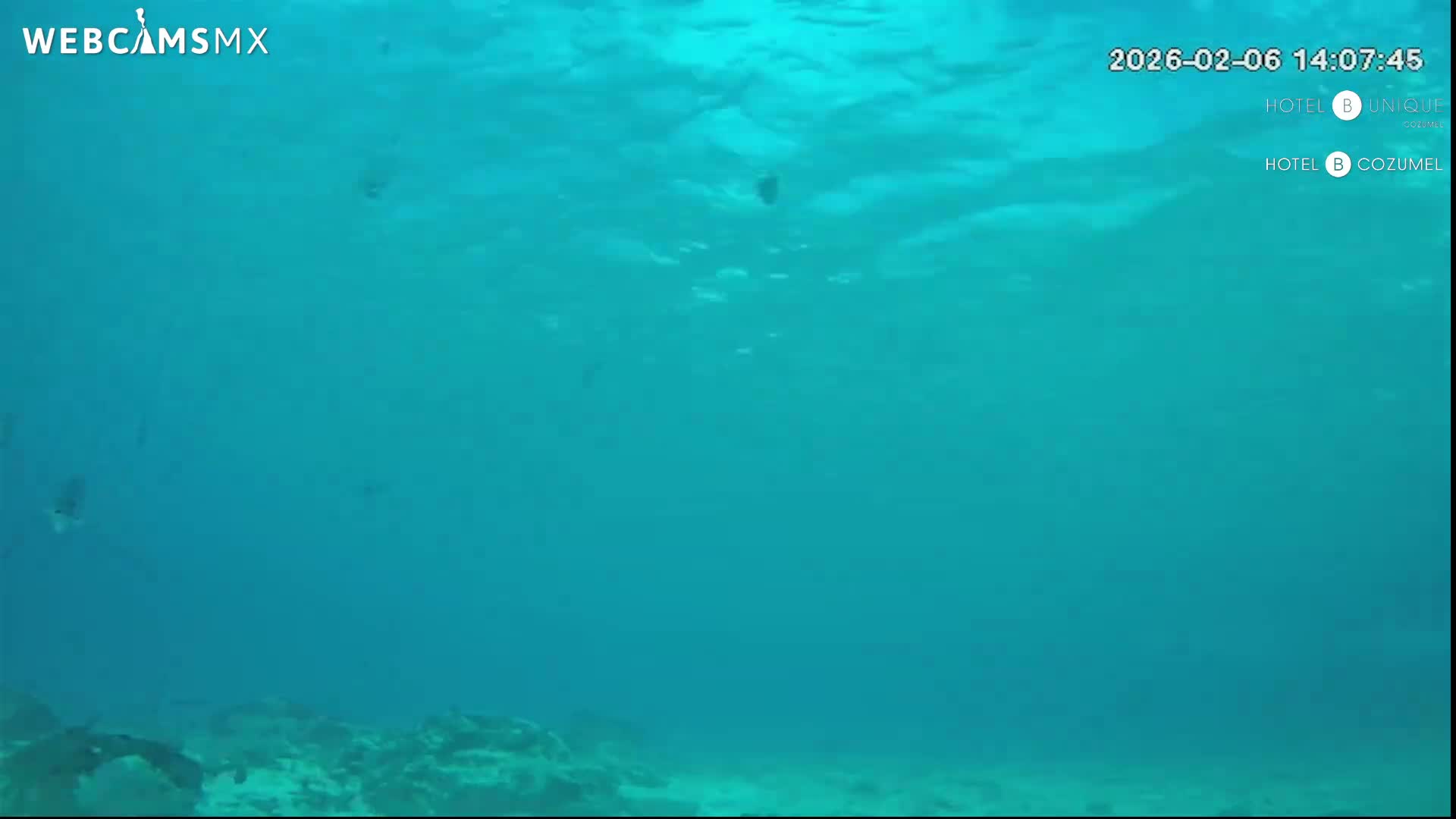 Cozumel, Carribean Underwater Fish World Live Cam - Zona Hotelera Sur, San Mugiel de Cozumel, Municipio de Cozumel, Quintana Roo, Mexico