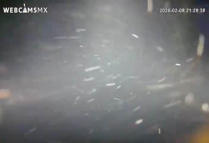 Cozumel, Carribean Underwater Fish World Live Cam - Zona Hotelera Sur, San Mugiel de Cozumel, Municipio de Cozumel, Quintana Roo, Mexico