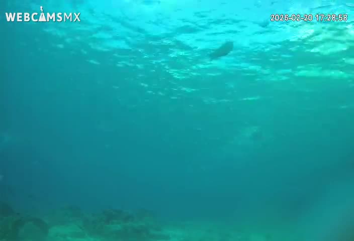 Cozumel, Carribean Underwater Fish World Live Cam - Zona Hotelera Sur, San Mugiel de Cozumel, Municipio de Cozumel, Quintana Roo, Mexico