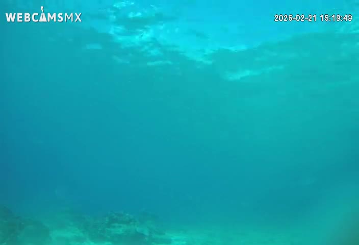 Cozumel, Carribean Underwater Fish World Live Cam - Zona Hotelera Sur, San Mugiel de Cozumel, Municipio de Cozumel, Quintana Roo, Mexico