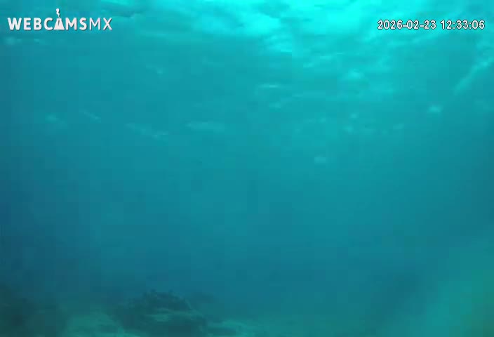 Cozumel, Carribean Underwater Fish World Live Cam - Zona Hotelera Sur, San Mugiel de Cozumel, Municipio de Cozumel, Quintana Roo, Mexico