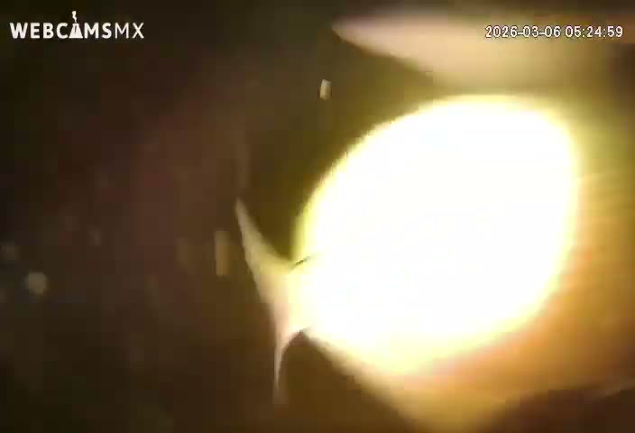 Cozumel, Carribean Underwater Fish World Live Cam - Zona Hotelera Sur, San Mugiel de Cozumel, Municipio de Cozumel, Quintana Roo, Mexico