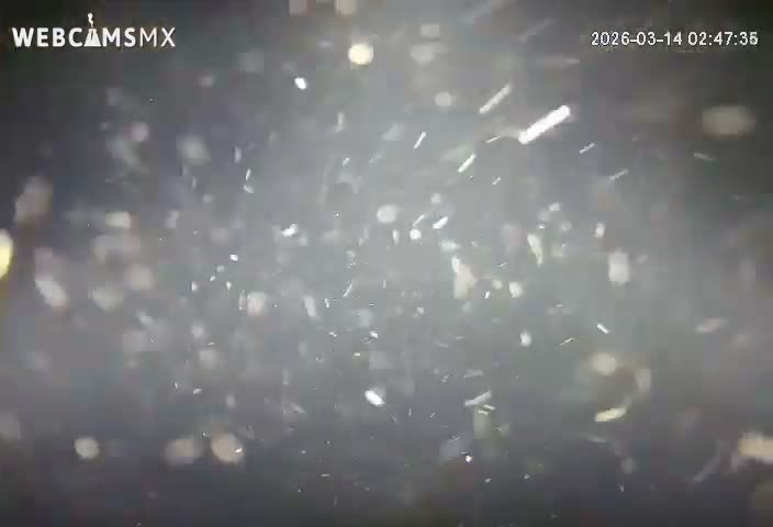 Cozumel, Carribean Underwater Fish World Live Cam - Zona Hotelera Sur, San Mugiel de Cozumel, Municipio de Cozumel, Quintana Roo, Mexico