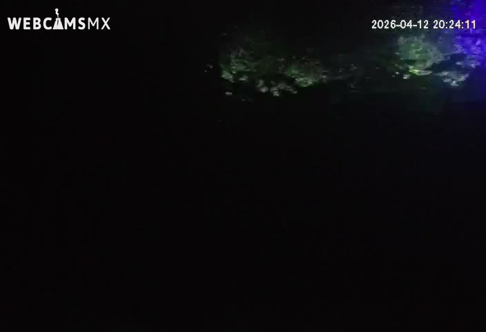 Cozumel, Carribean Underwater Fish World Live Cam - Zona Hotelera Sur, San Mugiel de Cozumel, Municipio de Cozumel, Quintana Roo, Mexico