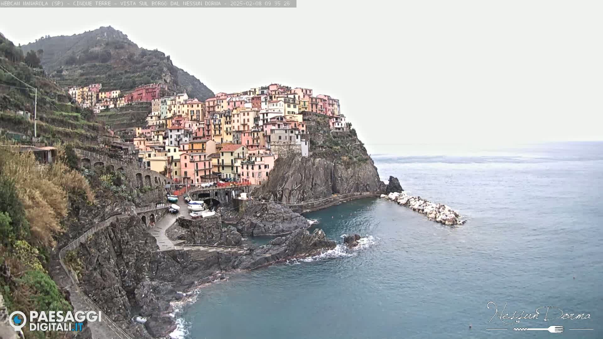 A colorful village clings to a steep, rocky cliffside overlooking a calm, gray-blue sea under an overcast sky.
