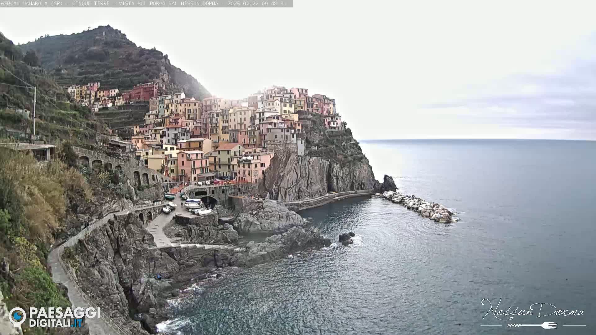 A colorful village clings to a steep cliffside overlooking a calm sea under an overcast sky.