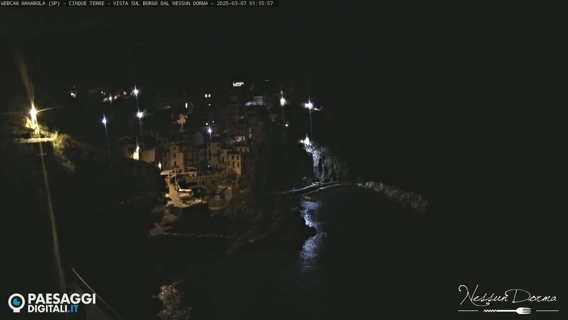 A nighttime coastal town is nestled on a cliffside overlooking a dark body of water.