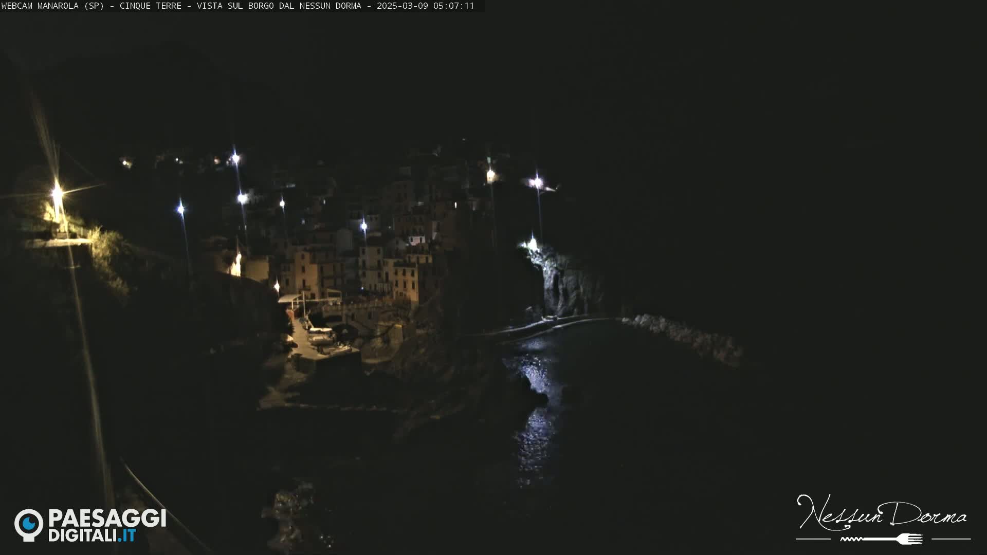A nighttime, coastal village is illuminated by streetlights, nestled against dark cliffs next to a calm body of water.