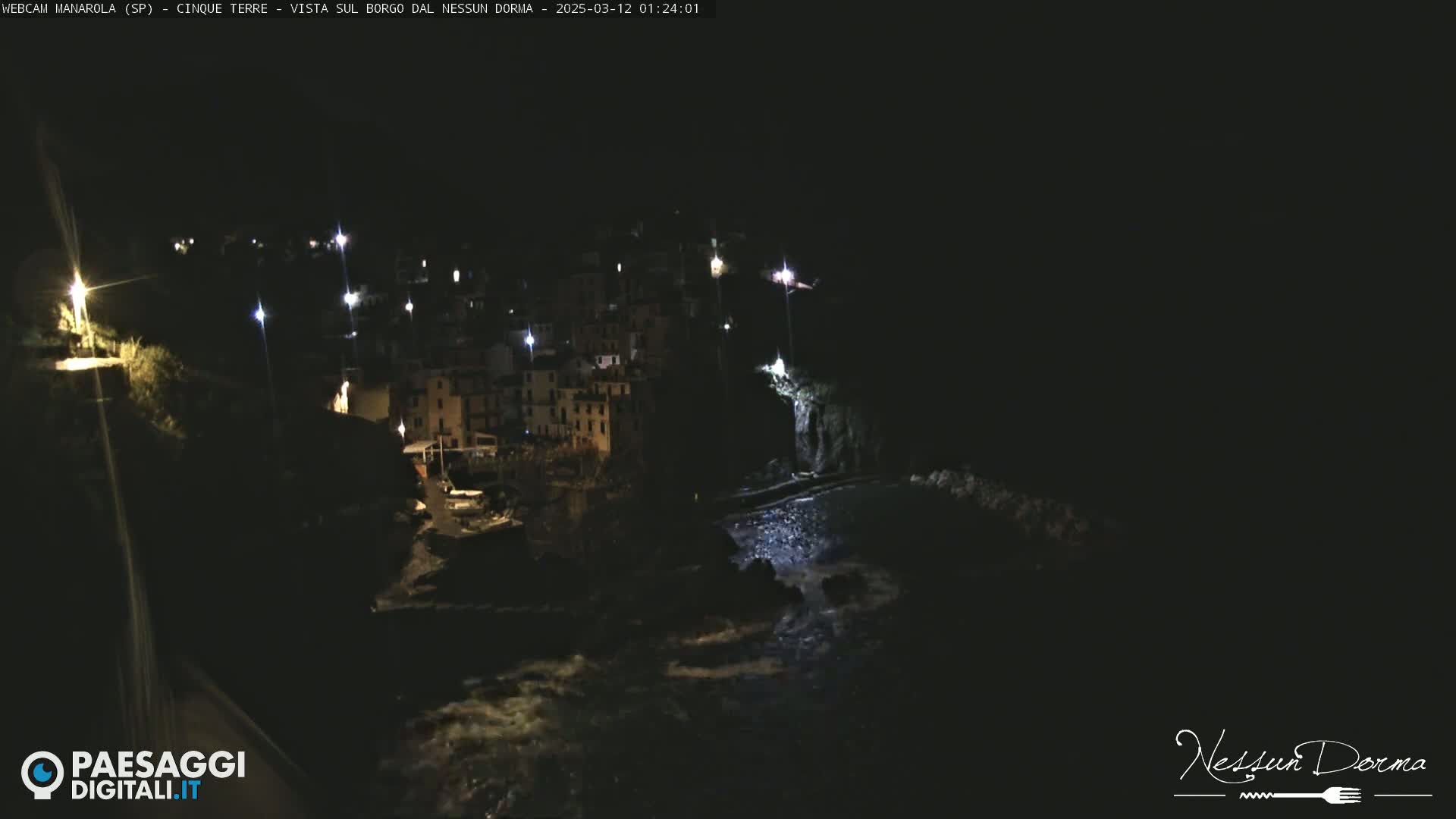 A nighttime, long shot of a coastal town illuminated by streetlights, with dark water lapping at the rocky shoreline.