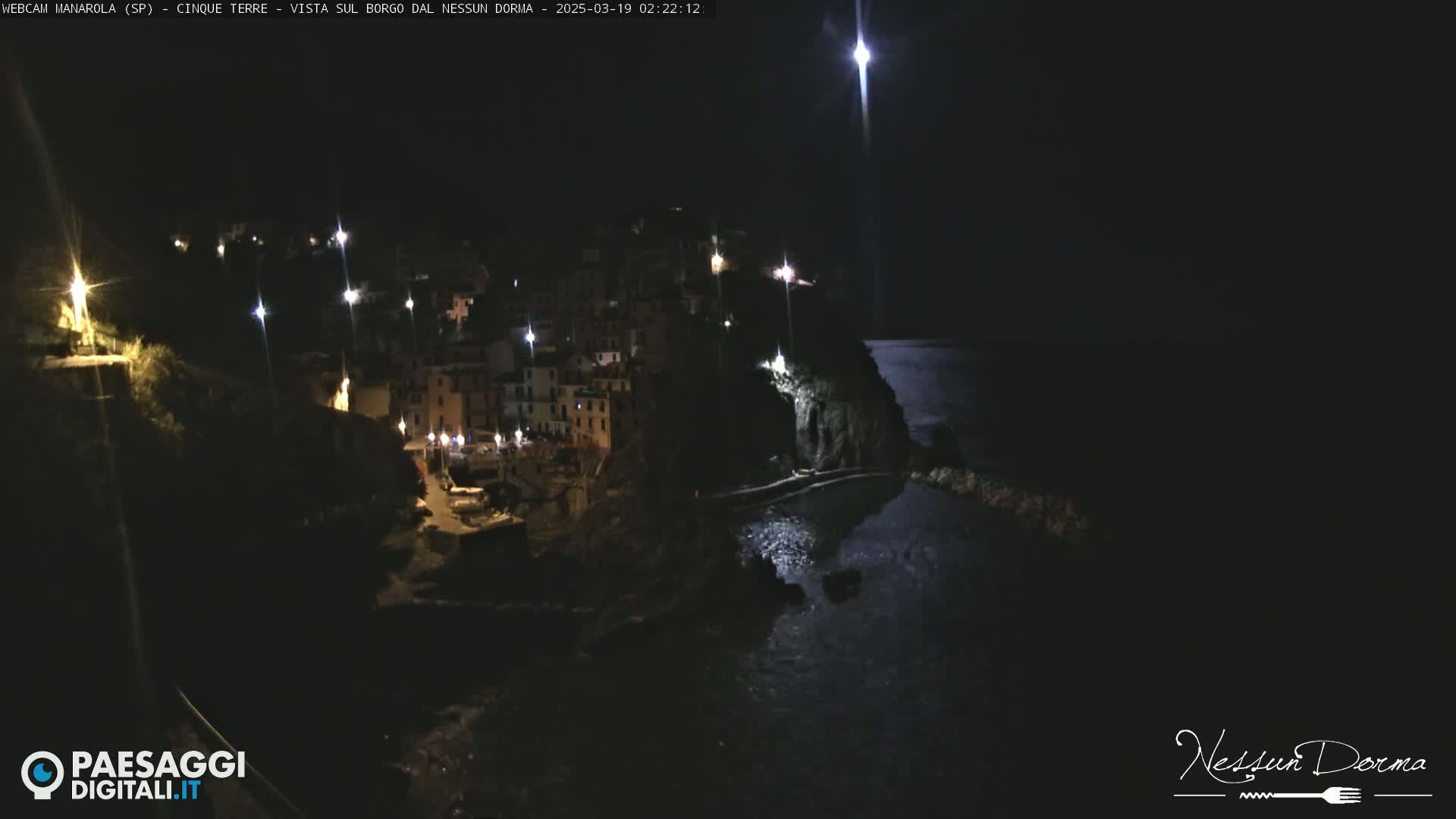 A nighttime, moonlit view of a coastal town nestled on a cliffside overlooking a dark body of water.