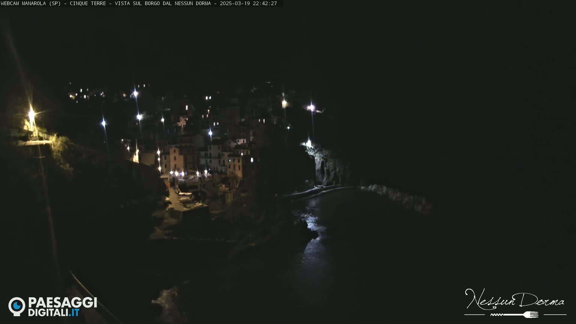 A nighttime, aerial view of a coastal village with its lights illuminating the buildings and the dark water below.