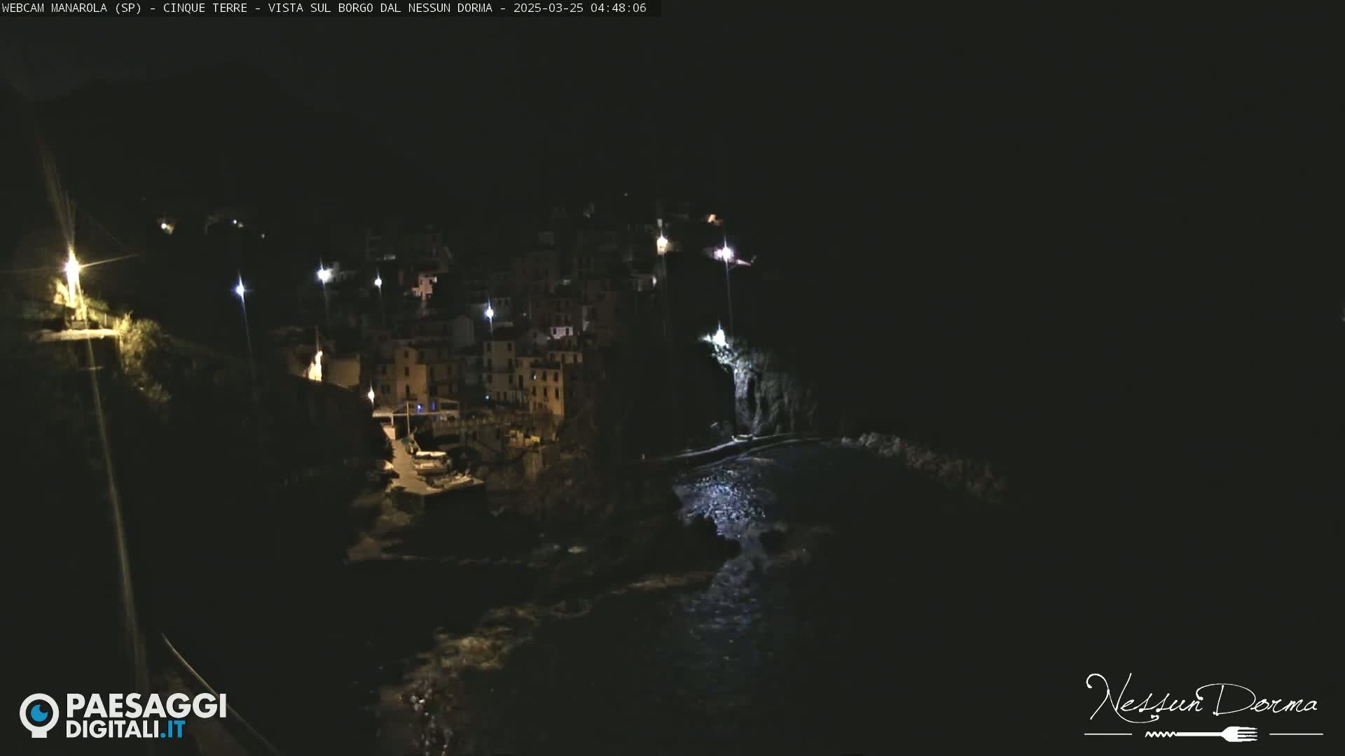 A nighttime view of a coastal village with buildings illuminated by lights, overlooking a dark body of water.