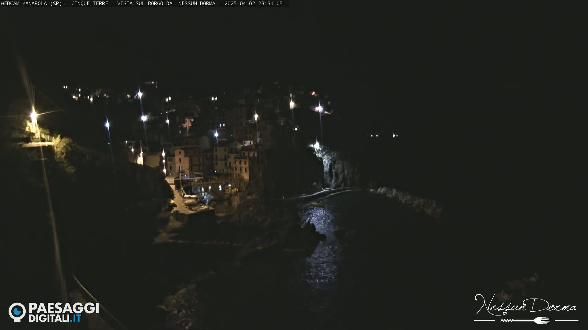 A nighttime coastal village is nestled on a dark hillside next to a body of water.