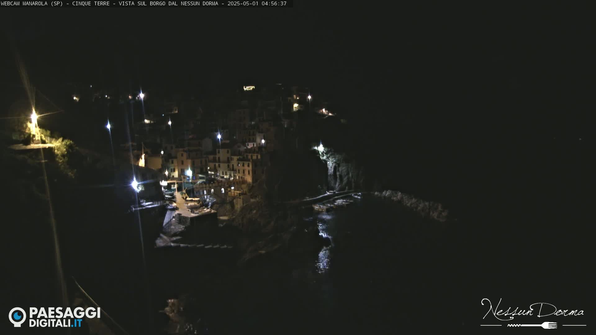 A nighttime, coastal village with lights illuminating buildings and a dark body of water.