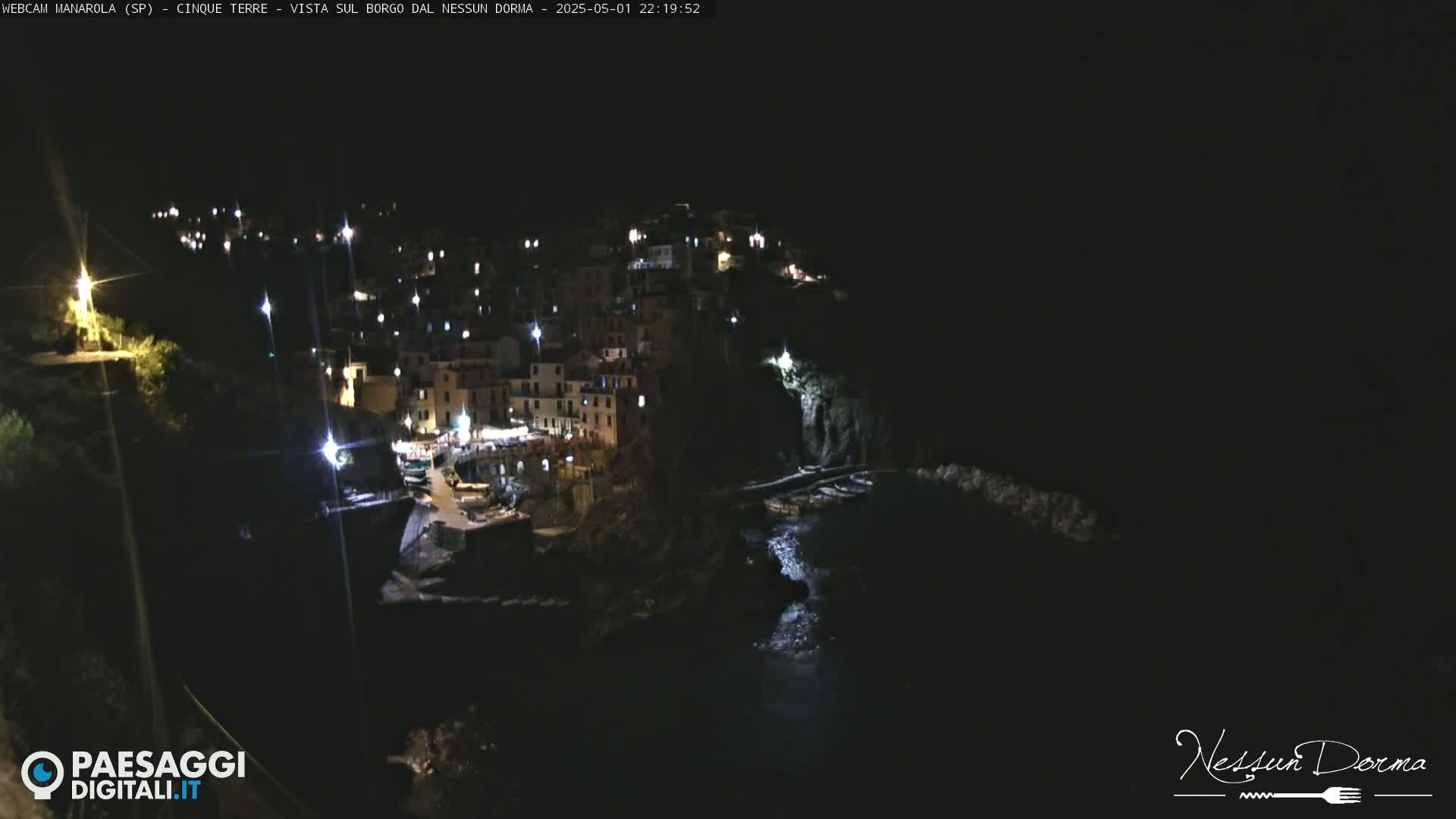 A nighttime, coastal village with illuminated buildings clings to a dark hillside, overlooking a calm body of water.