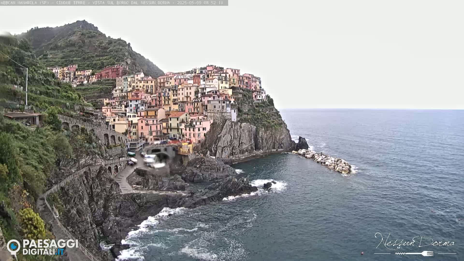 A colorful village clings to a steep cliffside overlooking a calm sea under an overcast sky.