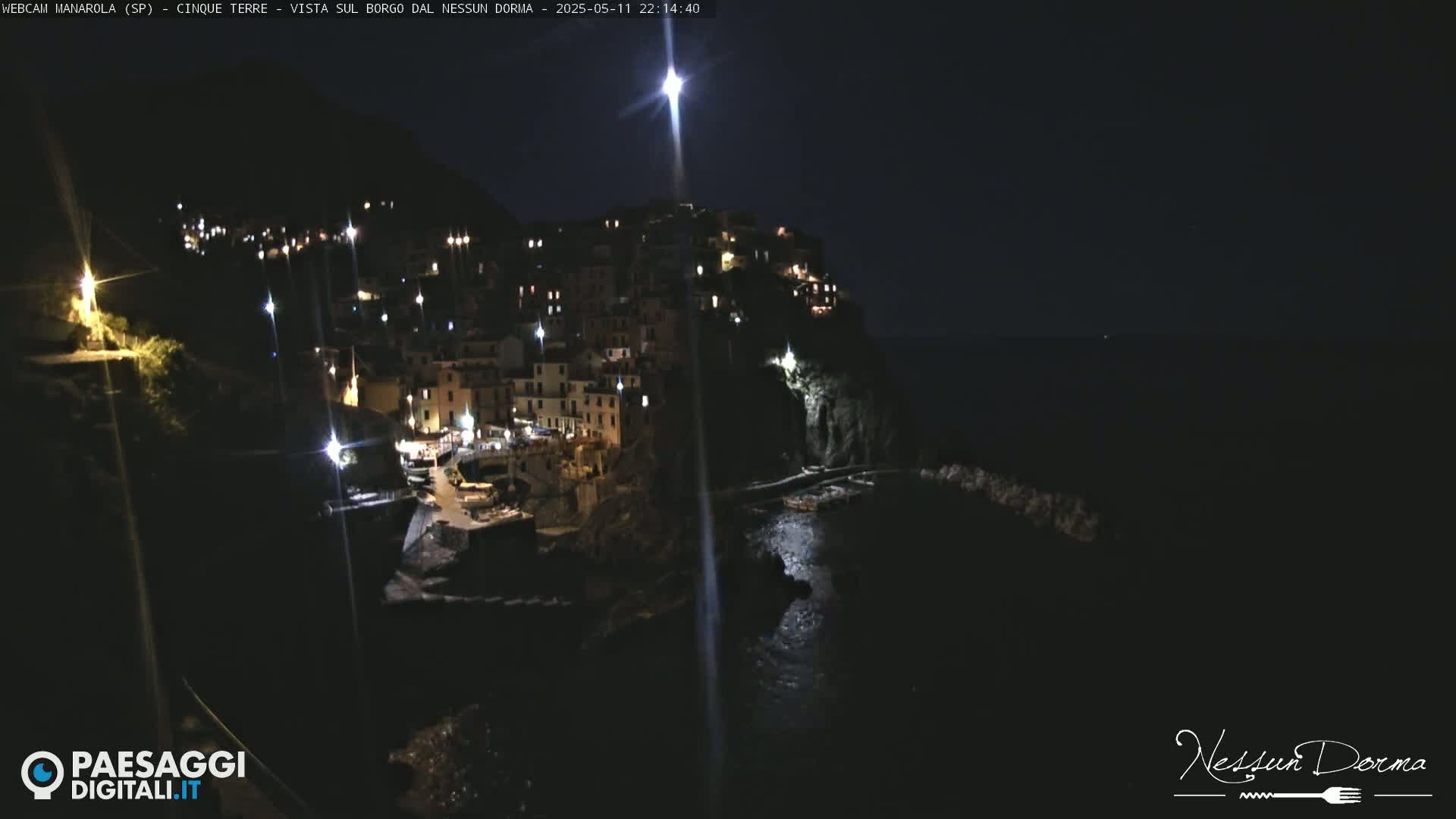 A brightly lit coastal town is nestled on a cliffside at night under a clear, moonlit sky.
