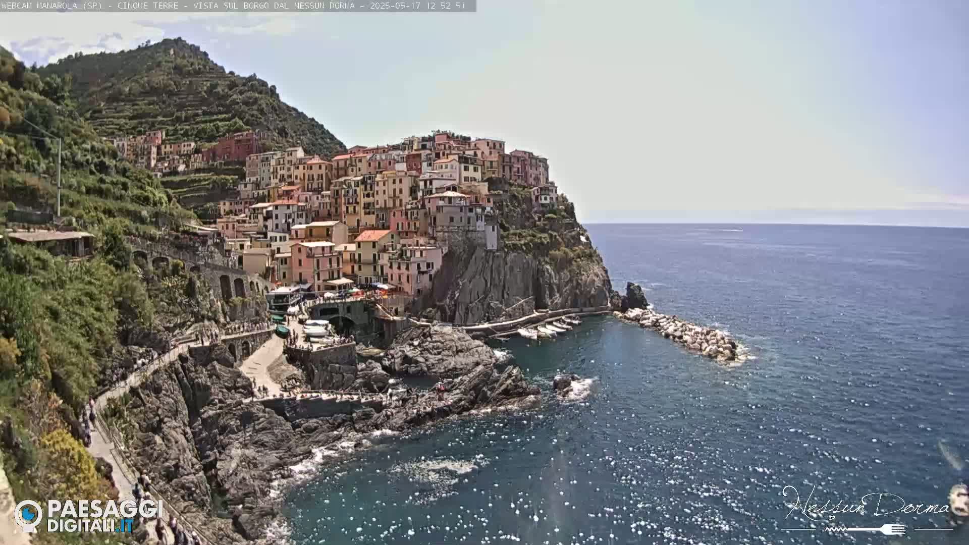 A colorful village clings to a steep cliffside overlooking a calm, blue sea on a sunny day.