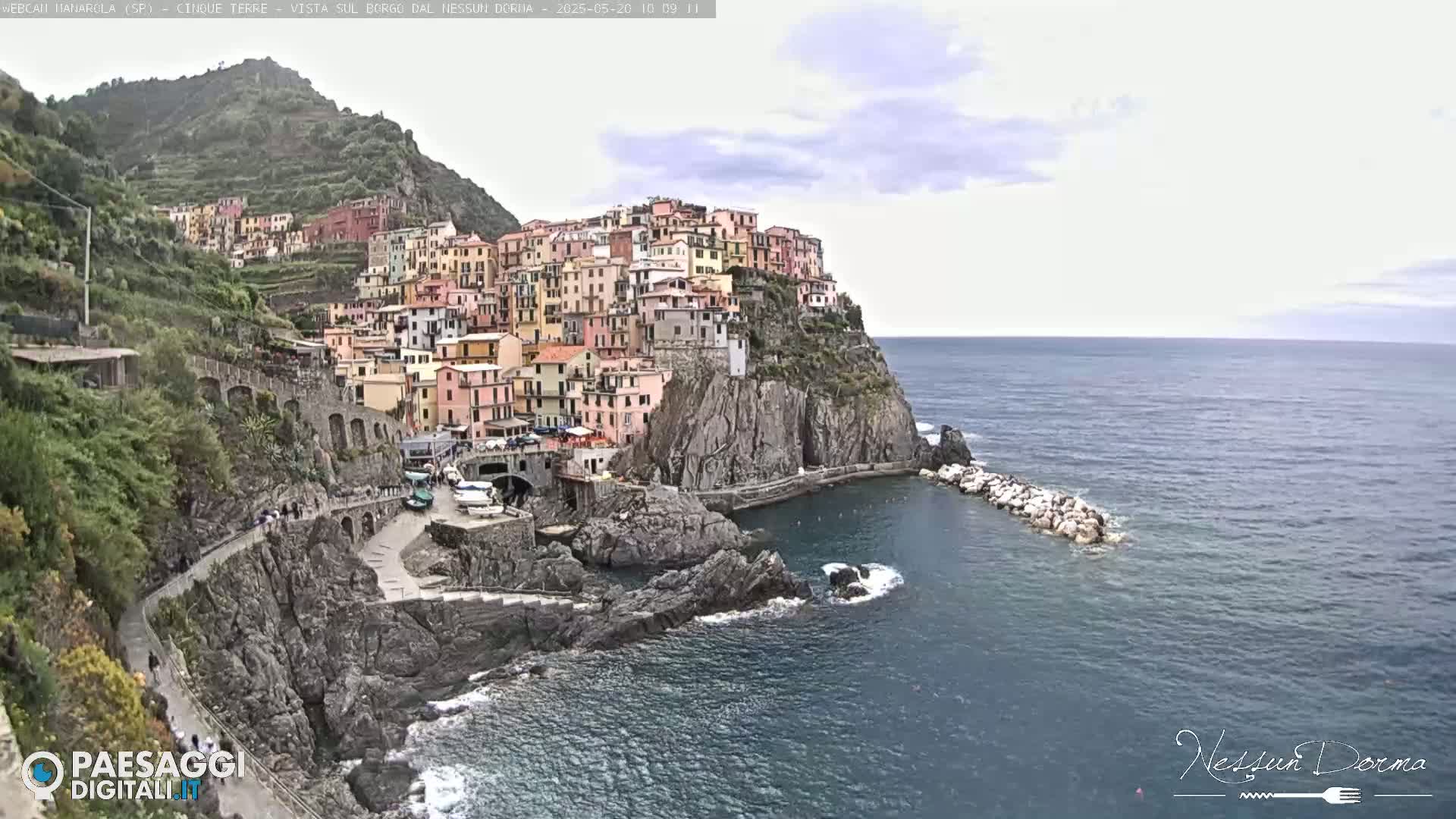 A picturesque coastal village with colorful buildings clinging to a steep cliffside overlooking a calm sea under an overcast sky.