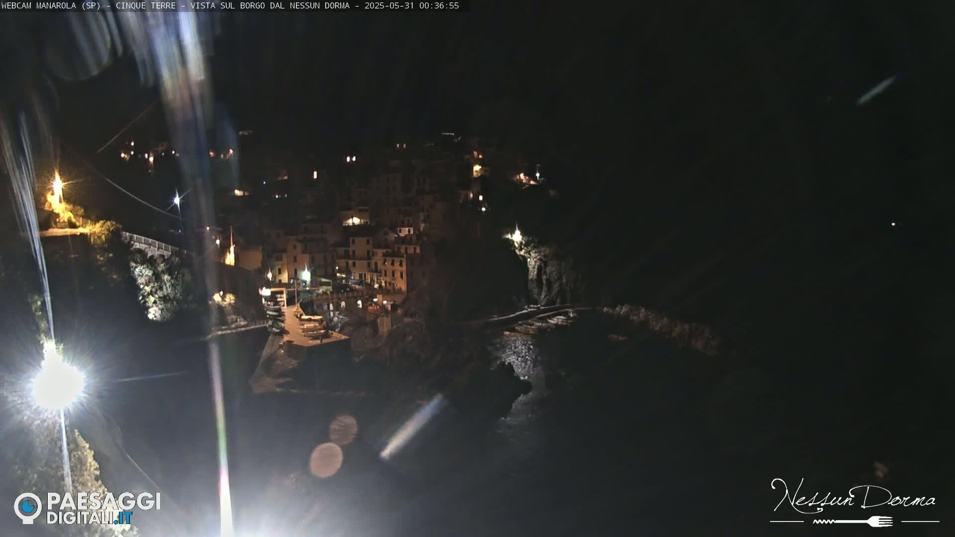 A nighttime view of a coastal village with buildings lit up, situated on a dark cliffside next to a calm body of water under a clear, dark sky.