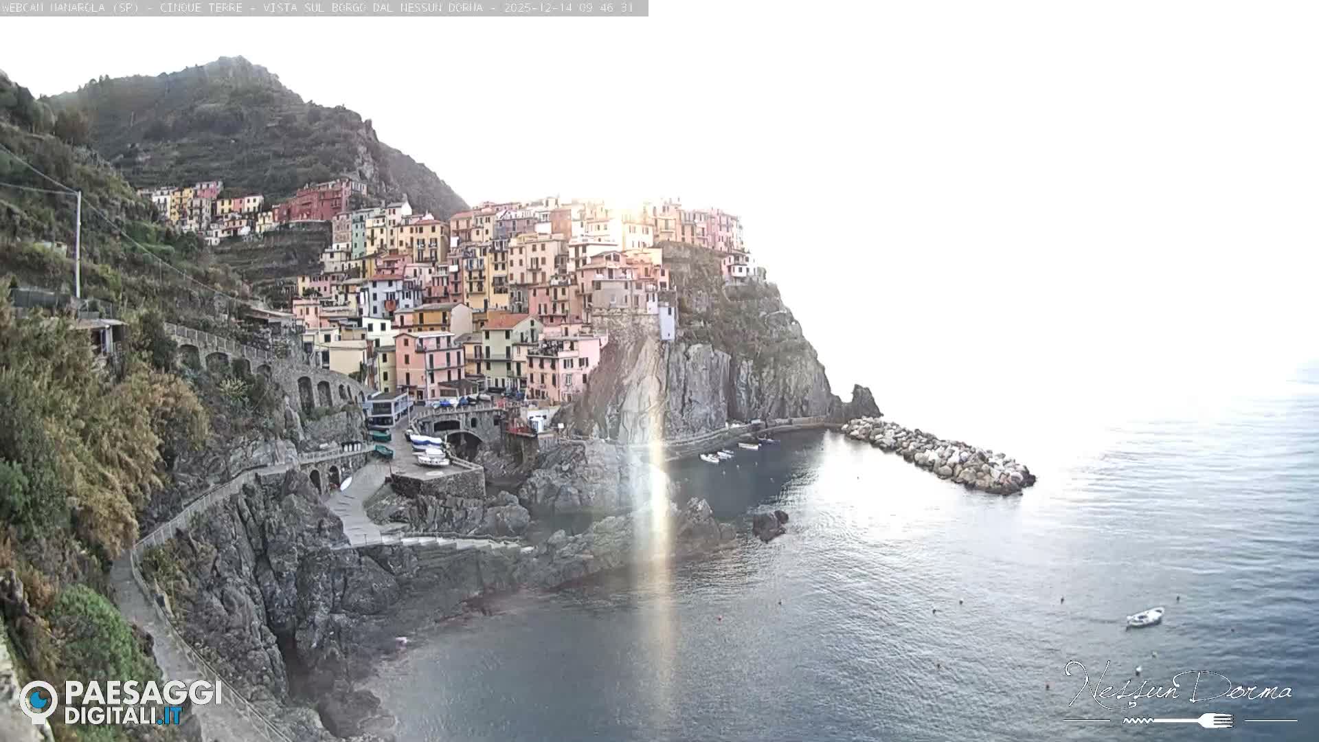 A vibrant coastal village with colorful buildings is nestled into a steep, rocky hillside overlooking the calm, grey-blue sea under an overcast sky.