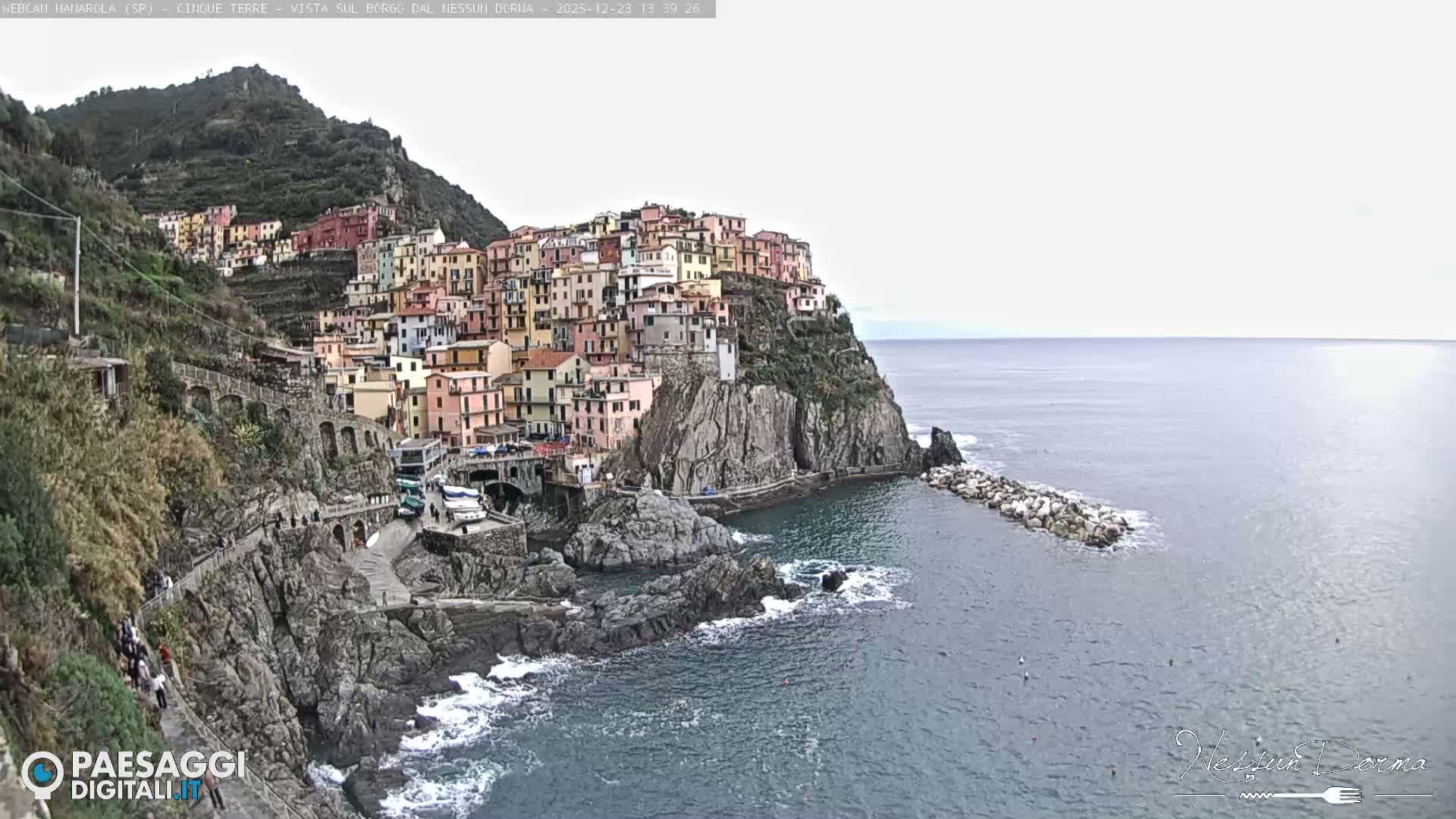Cinque Terre, Manarola Village Live Cam - La Spezia, Linguria, Italy