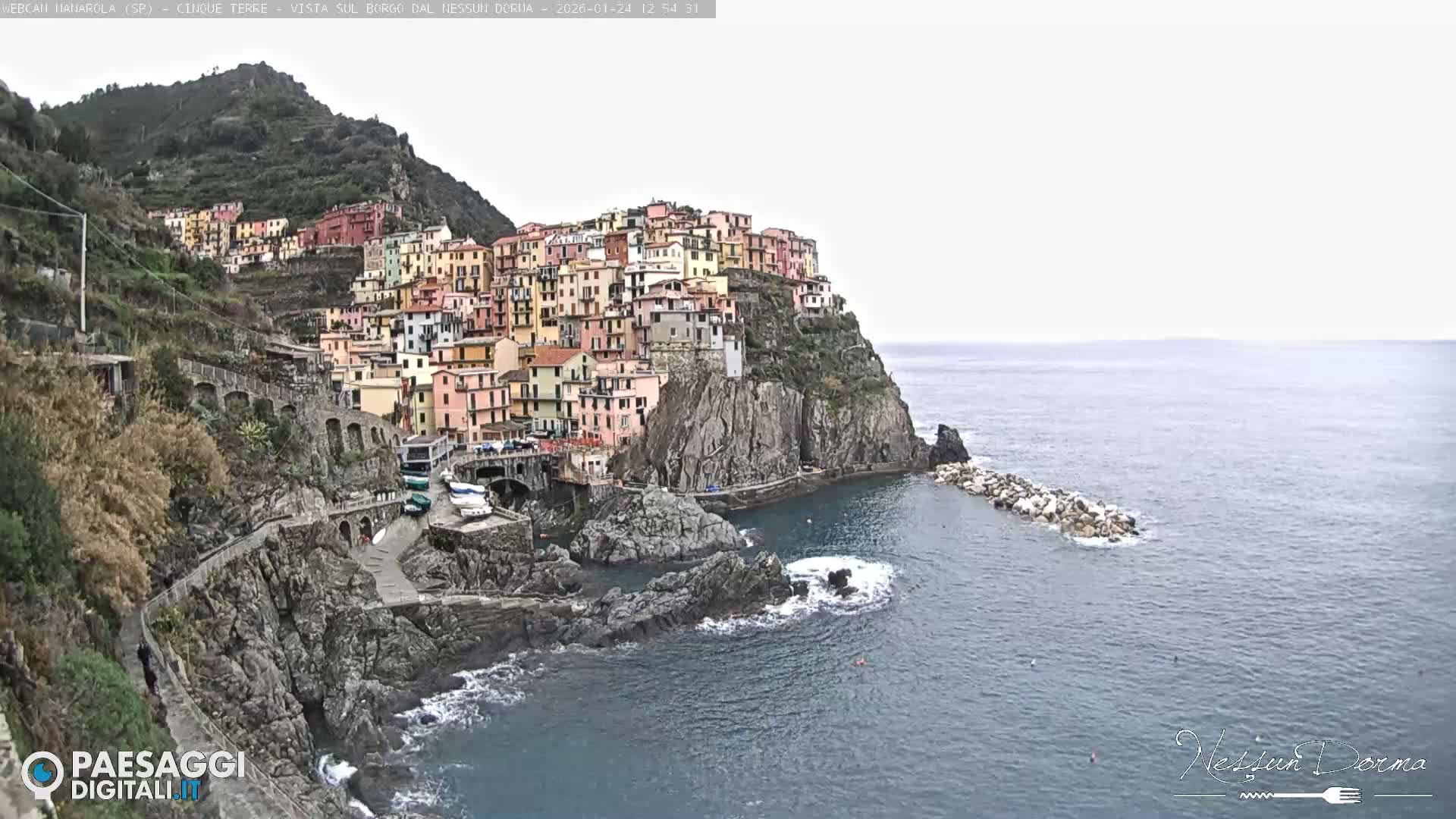 Cinque Terre, Manarola Village Live Cam - La Spezia, Linguria, Italy