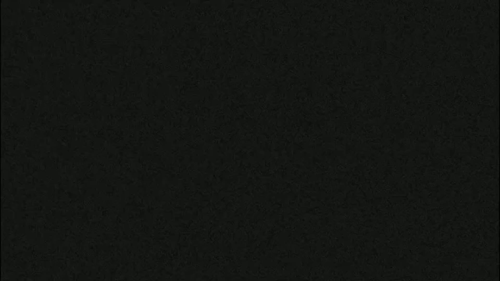 The image shows a dark, uniformly textured surface.