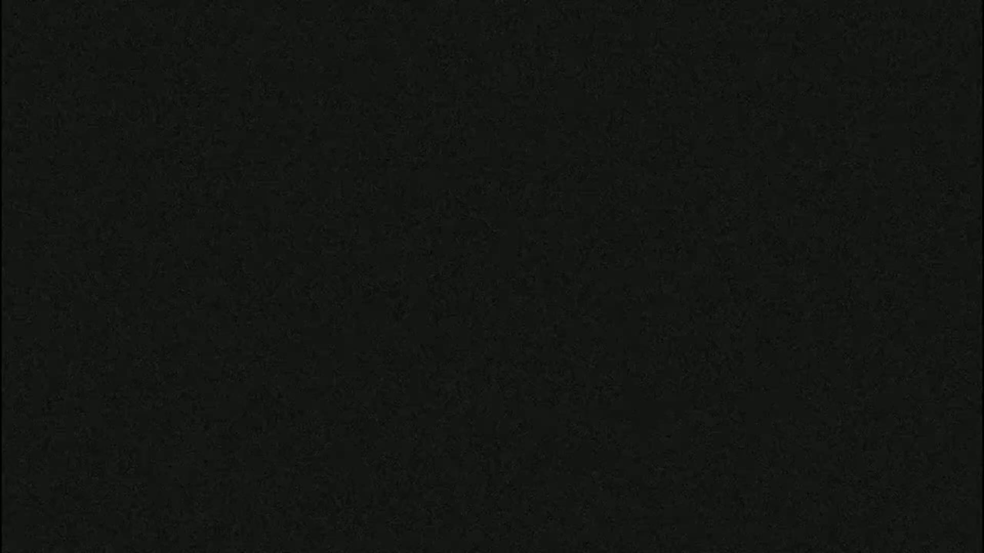 The image is a solid black field with a slightly textured appearance.