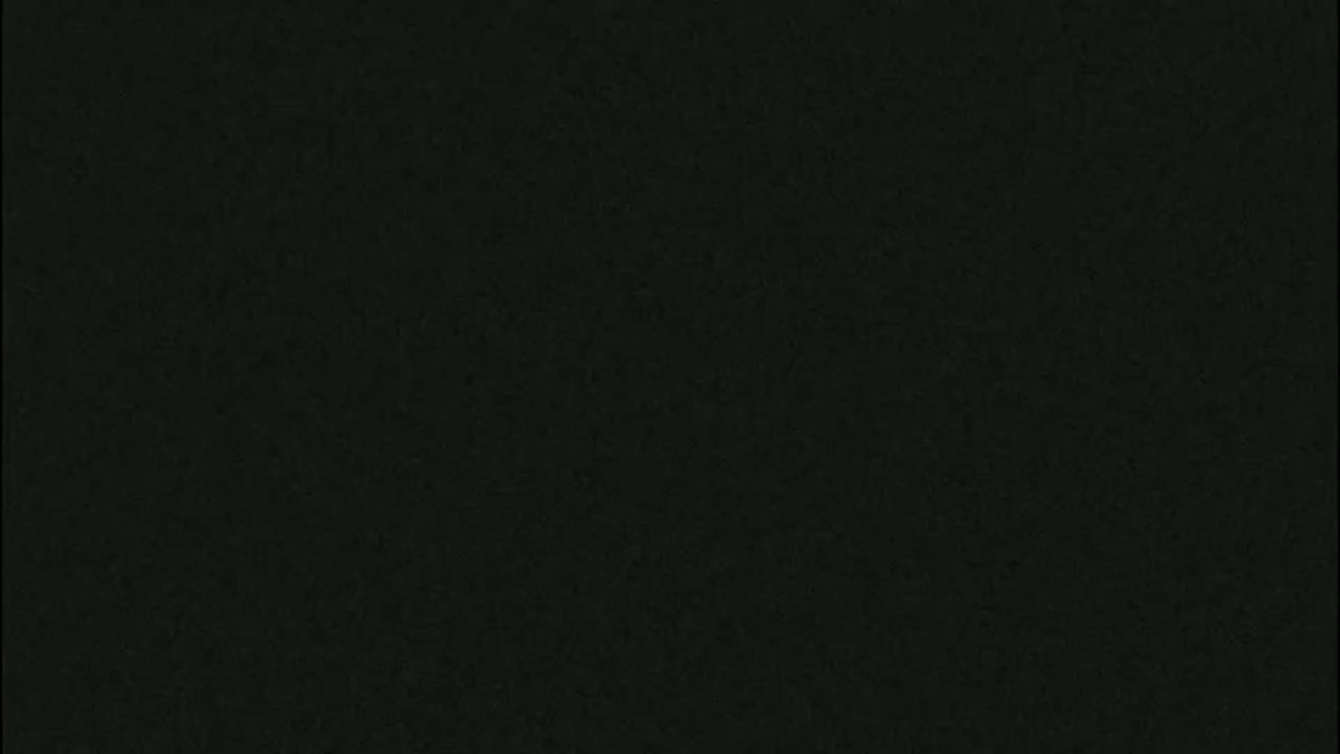 The image shows a uniformly dark, textured surface.